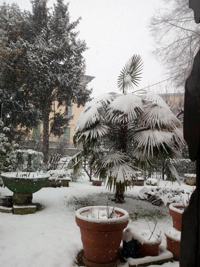 B&B Delle Arti Крема Екстер'єр фото
